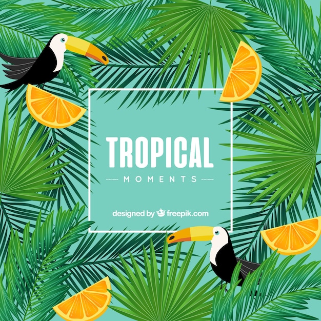 Fundo tropical com tucanos