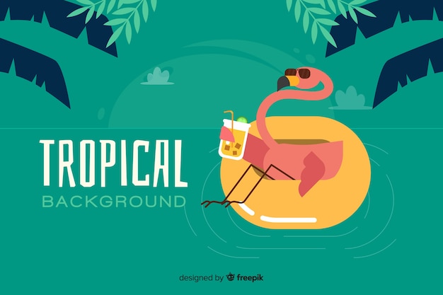 Fundo tropical liso com flamingo