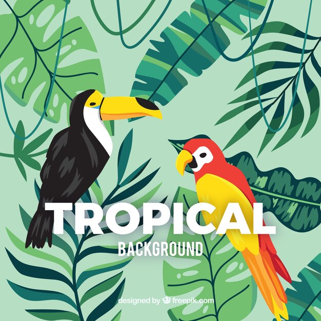 Fundo tropical