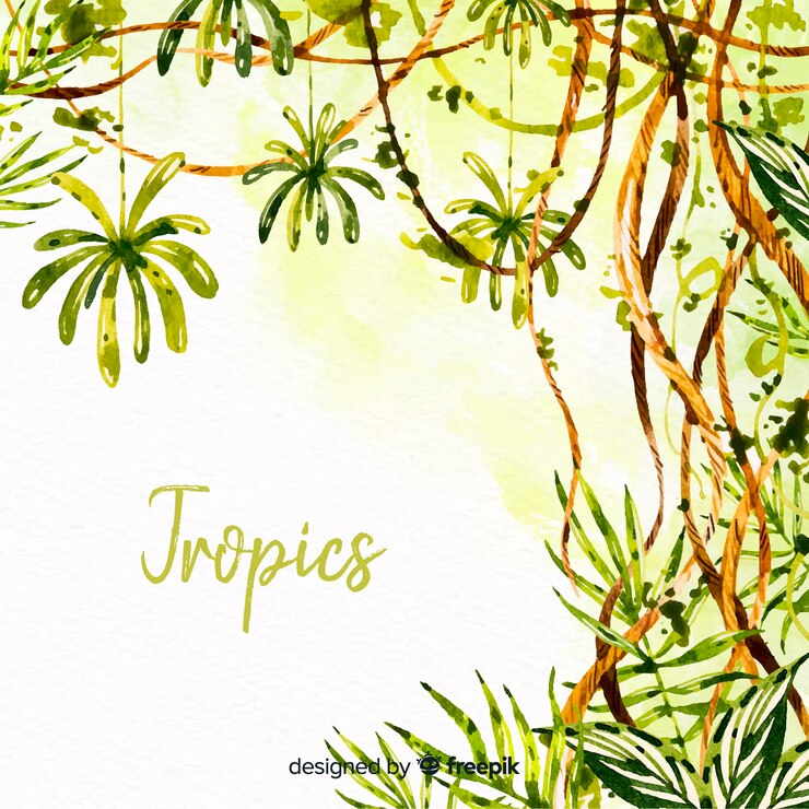 Vetor grátis fundo tropical