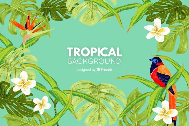 Fundo tropical