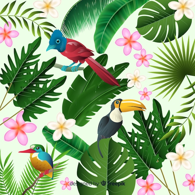 Fundo tropical