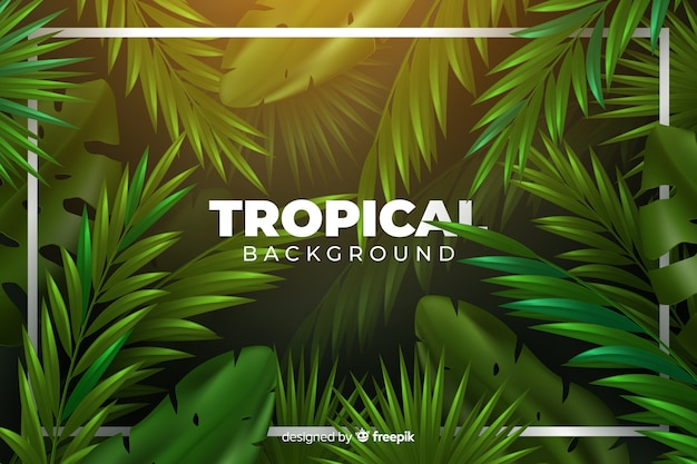 Fundo tropical