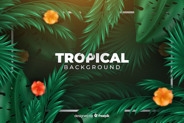 Fundo tropical