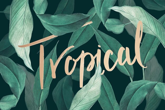 fundo tropical