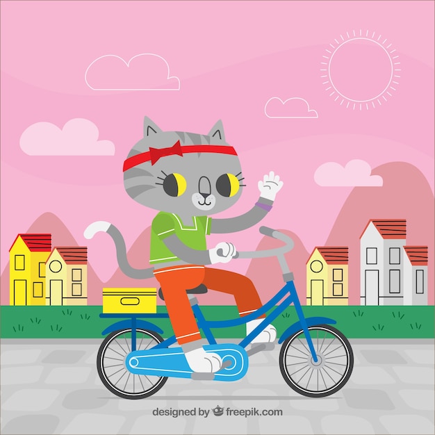 Gato em um fundo de bicicleta