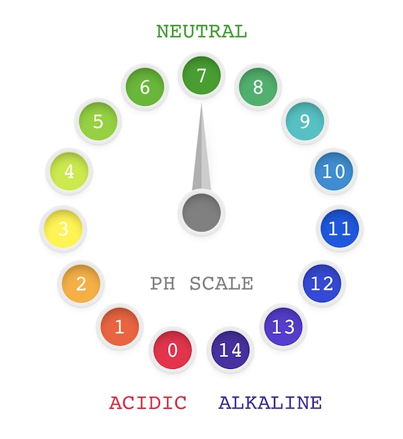 Gráfico de escala de valor de ph para solução alcalina ácida medidor de teste com indicadores de arco-íris redondo para medição de laboratório do nível de acidez em fundo infográfico de medicina de análise química