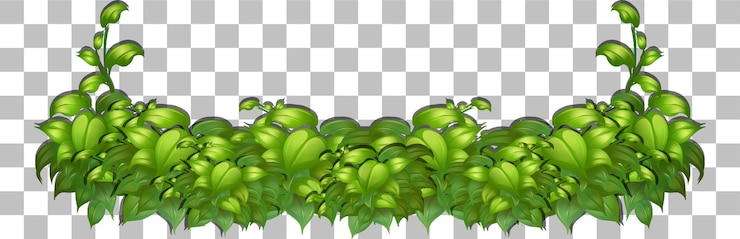 Vetor grátis grama e plantas em fundo transparente para decoração