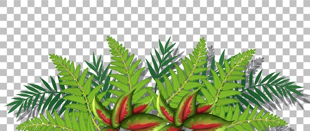 Desenho De Vegetação Alta Oca De árvore Vetor PNG , Alto, Vegetação, Desenho  Imagem PNG e Vetor Para Download Gratuito