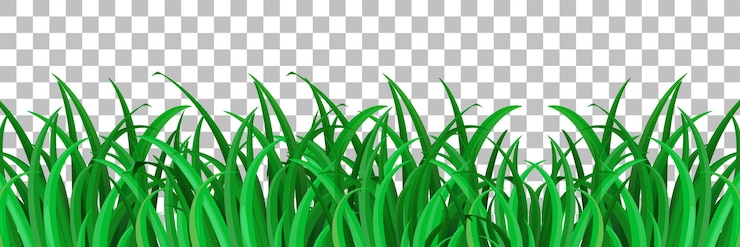 Vetor grátis grama e plantas em fundo transparente para decoração
