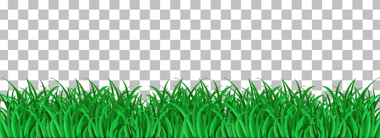 Vetor grátis grama verde em fundo transparente