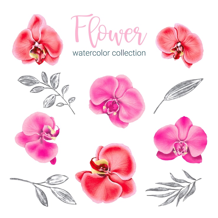 Vetor grátis grande conjunto botânico de flores silvestres conjunto de partes separadas e reunir um lindo buquê de flores em estilo de cores de água em ilustração vetorial plana de fundo branco