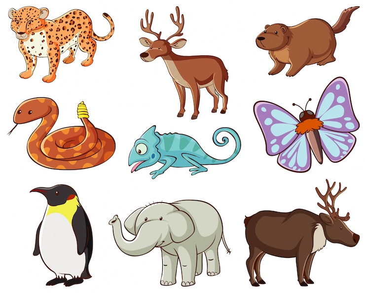 Vetor grátis grande conjunto de vida selvagem com muitos tipos de animais