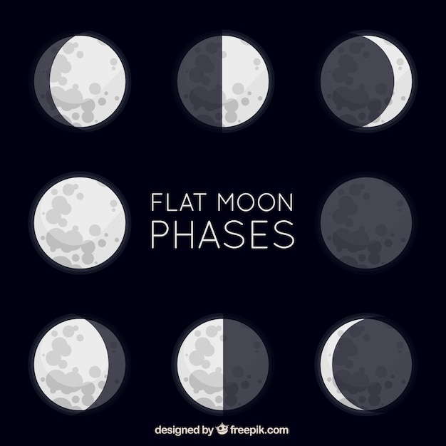 Vetor grátis grandes as fases da lua planas