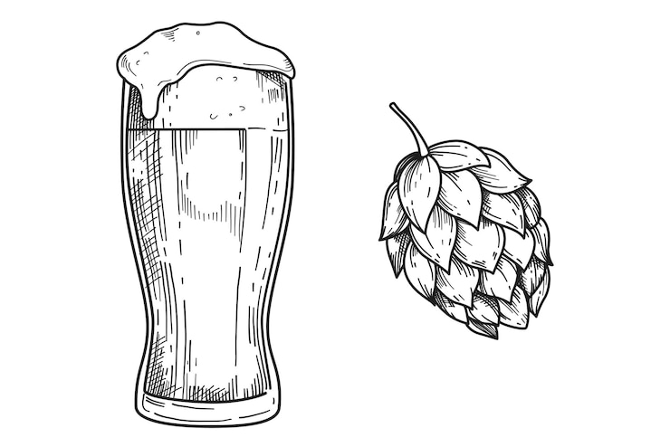 Vetor grátis gravação de caneca de vidro de cerveja desenhada à mão com planta de espuma e lúpulo