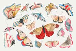 Vetor grátis grupo da ilustração da aquarela da borboleta e da traça do vintage, remixado das obras de arte do século xviii do arquivo smithsonian.