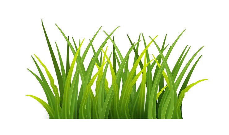 Vetor grátis hastes de plantas para ilustração da natureza do plano frontal isolada grama verde realista grama verde fresca detalhada