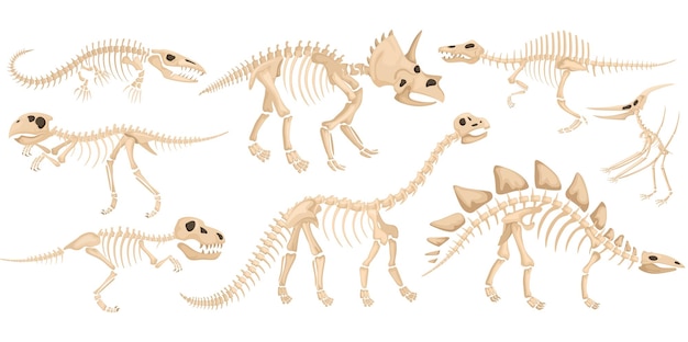 Ícone de esqueleto de dinossauro definido com grandes animais antigos de diferentes espécies voando ilustração vetorial predatória e herbívora