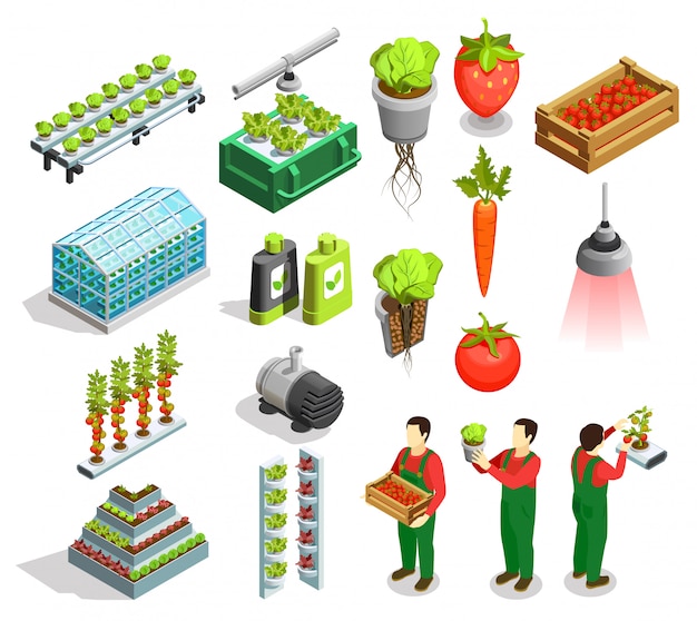 Ícones isométricos hidropônicos e aeropônicos