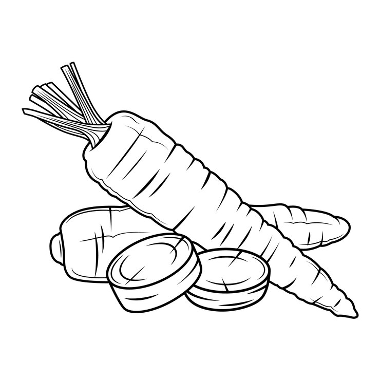 Vetor grátis ilustra??o de contorno de cenoura desenhada ?