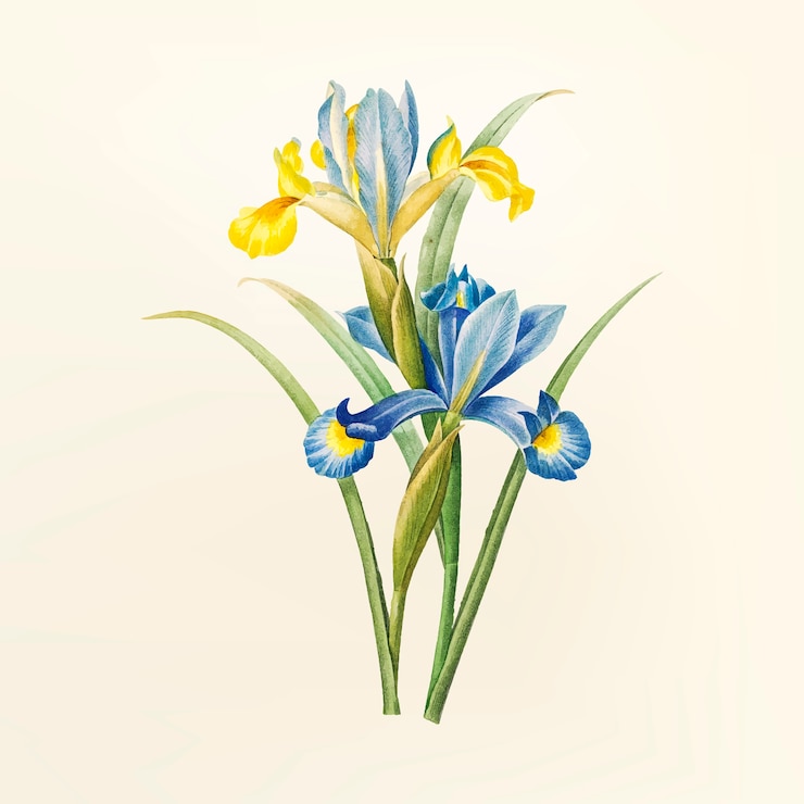 Vetor grátis ilustra??o de flor vintage