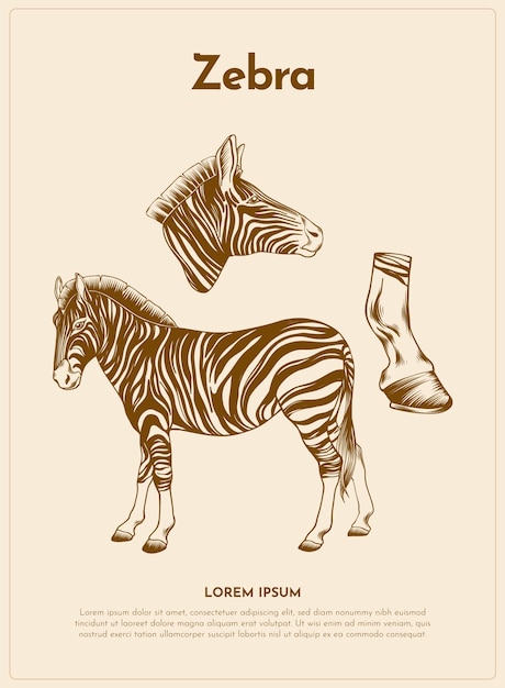 Vetor grátis ilustração animal retrô de zebra