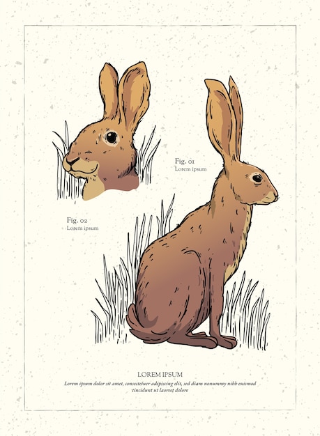 Vetor grátis ilustração animal retrô desenhada à mão