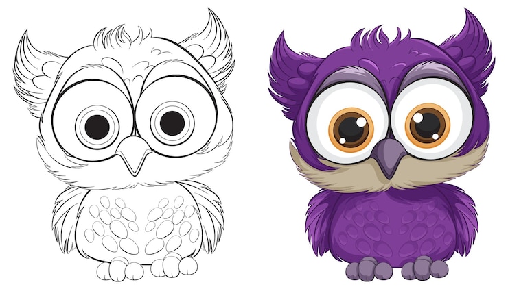 Vetor grátis ilustração bonita de coruja antes e depois
