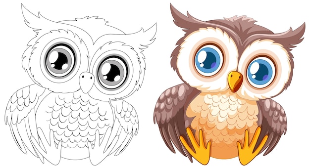 Ilustração bonita de coruja antes e depois