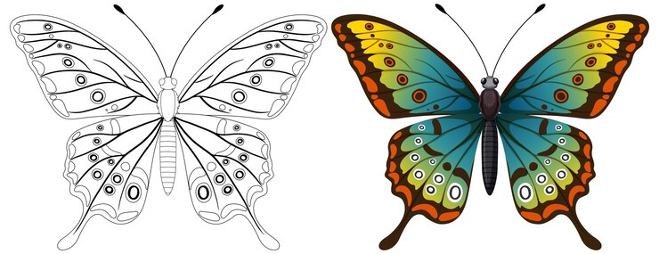 Vetor grátis ilustração colorida de borboletas antes e depois