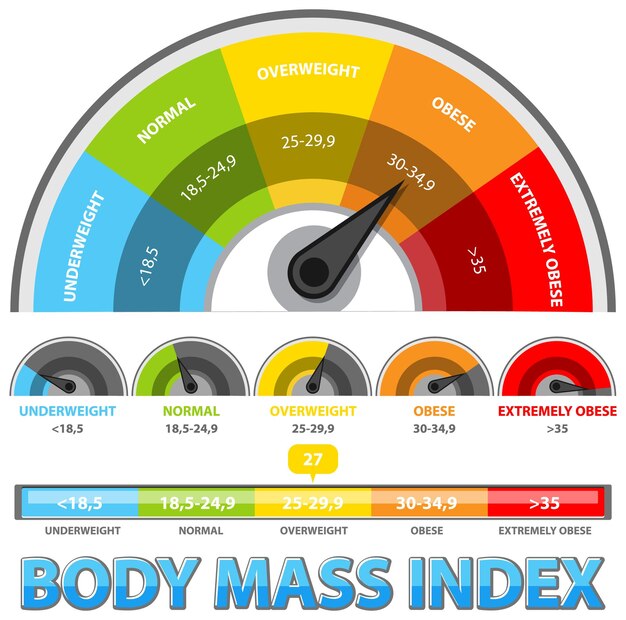 Vetor grátis ilustração da escala de índice de massa corporal