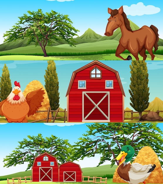 Ilustração da fazenda na ilustração da fazenda