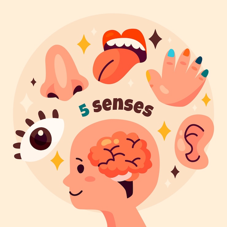 Vetor grátis ilustração de 5 sentidos desenhada à mão