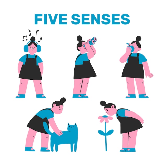 Ilustração de 5 sentidos desenhada à mão