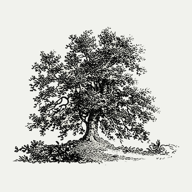 Ilustração de árvore vintage
