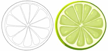 Vetor grátis ilustração de citrus duo em fatias