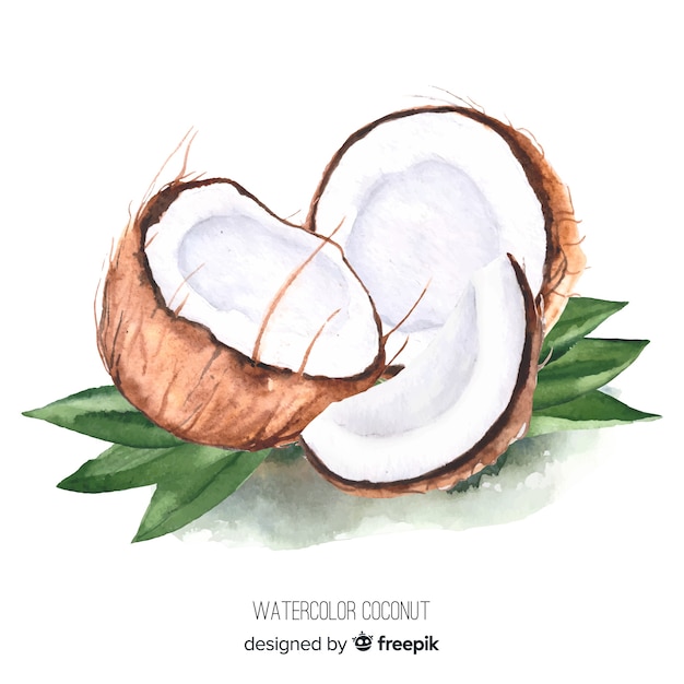 Ilustração de coco em aquarela