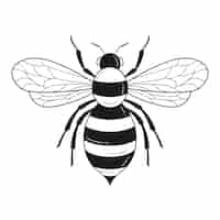 Vetor grátis ilustração de contorno de abelha desenhada à mão