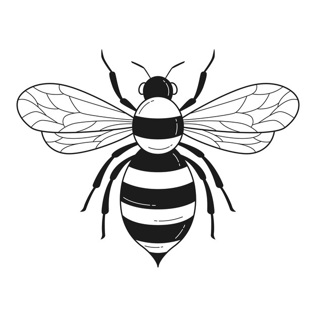 Ilustração de contorno de abelha desenhada à mão