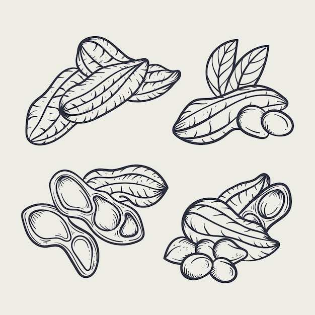 Vetor grátis ilustração de contorno de amendoim desenhada à mão