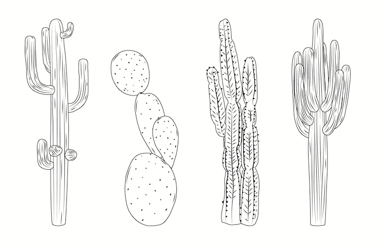 Vetor grátis ilustração de contorno de cacto desenhada de mão