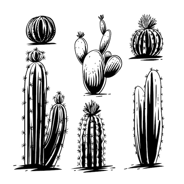 Ilustração em xilogravura de jardim de cactos