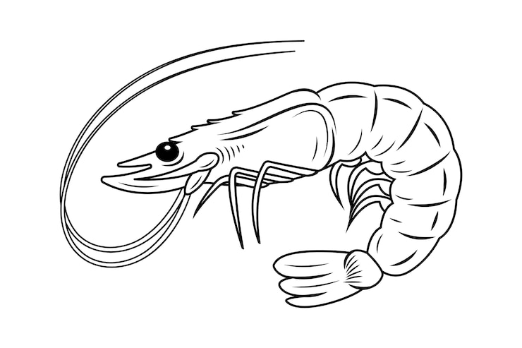 Vetor grátis ilustração de contorno de camarão desenhada à mão