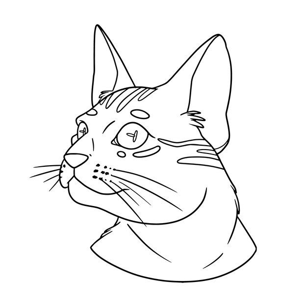 Ilustração de contorno de cara de gato desenhada à mão