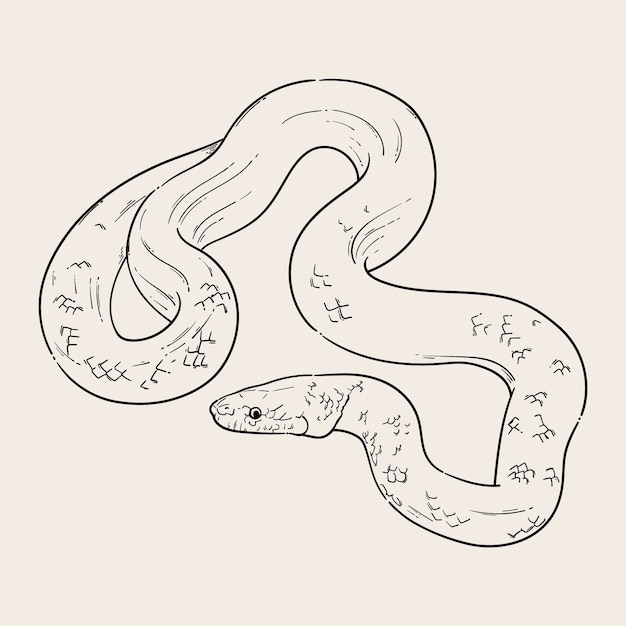 Vetor grátis ilustração de contorno de cobra desenhada à mão