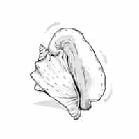 Vetor grátis ilustração de contorno de concha desenhada à mão