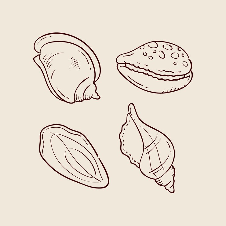 Vetor grátis ilustração de contorno de concha desenhada à mão