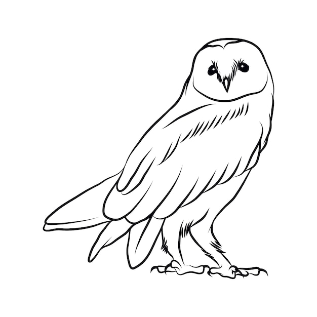 Ilustração de contorno de coruja desenhada de mão