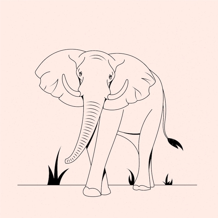 Vetor grátis ilustração de contorno de elefante desenhado à mão