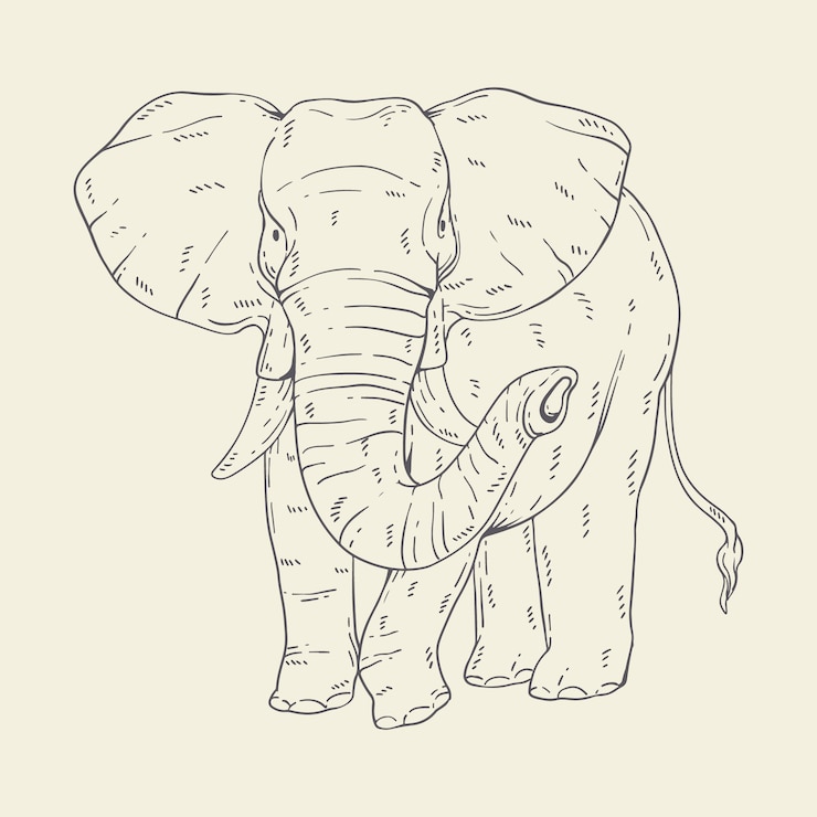 Vetor grátis ilustração de contorno de elefante desenhado à mão